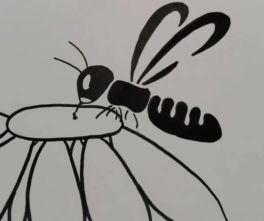 Včela dělnice sbírá nektar z lučního květu – ilustrace